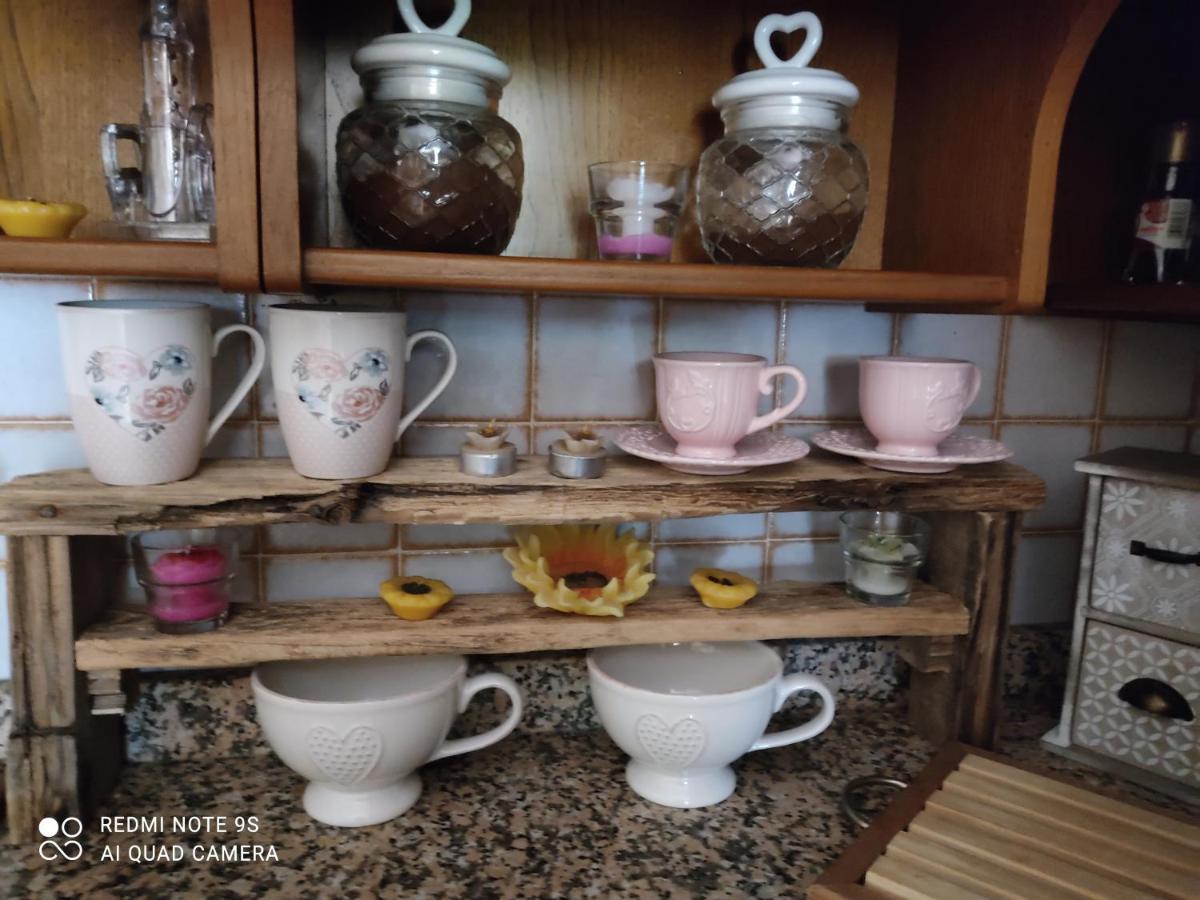 La Bouganville E Il Gelsomino Pietrasanta Ngoại thất bức ảnh