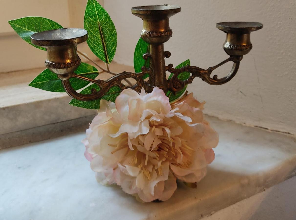 La Bouganville E Il Gelsomino Pietrasanta Ngoại thất bức ảnh