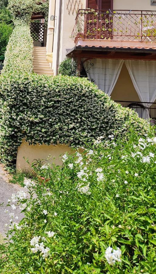 La Bouganville E Il Gelsomino Pietrasanta Ngoại thất bức ảnh