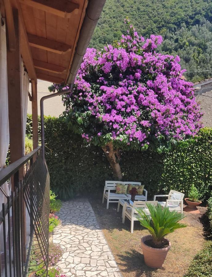La Bouganville E Il Gelsomino Pietrasanta Ngoại thất bức ảnh