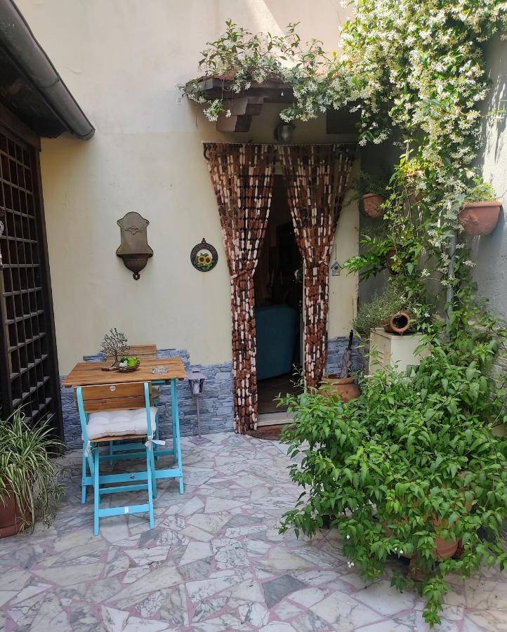 La Bouganville E Il Gelsomino Pietrasanta Ngoại thất bức ảnh