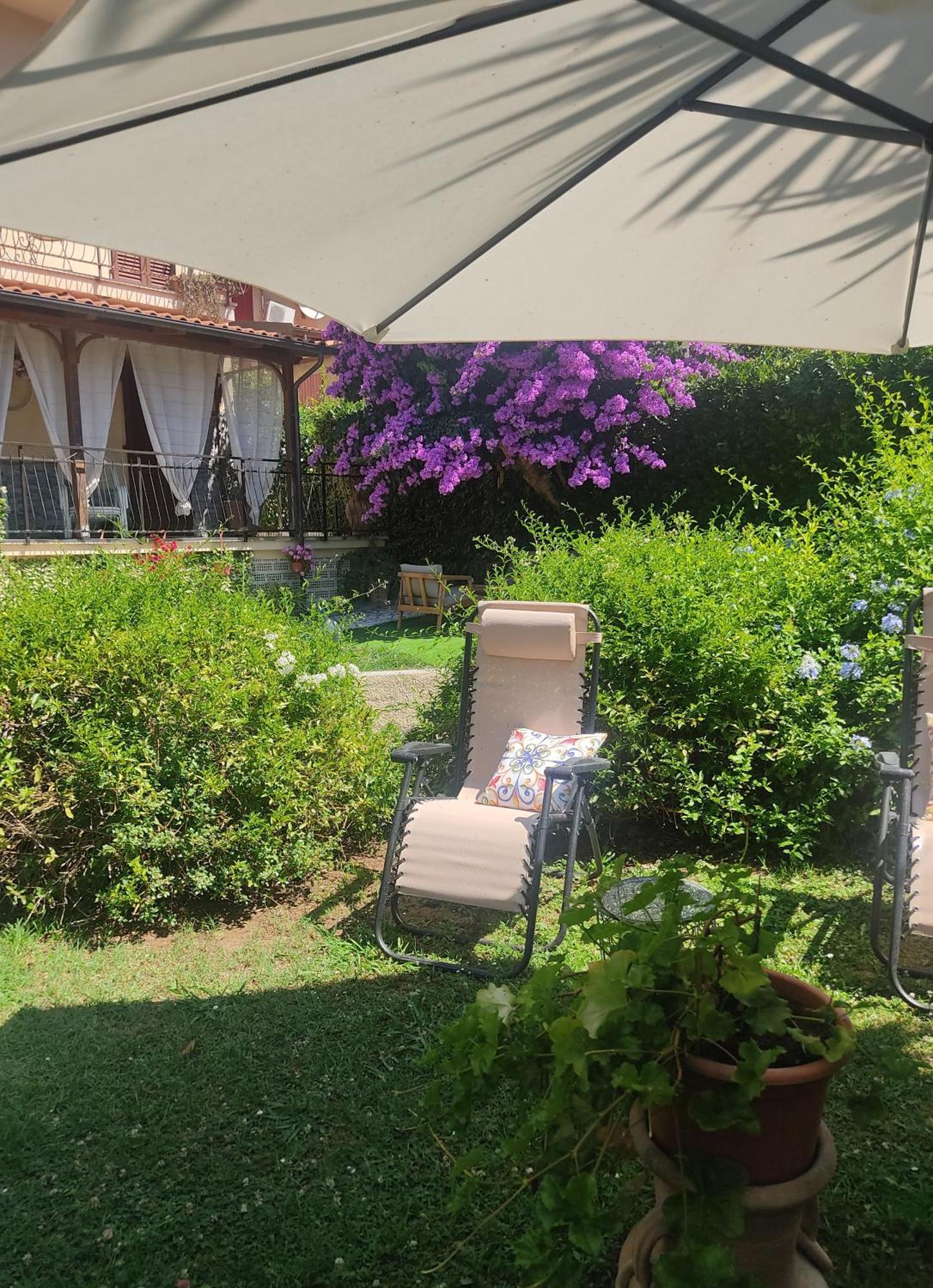La Bouganville E Il Gelsomino Pietrasanta Ngoại thất bức ảnh