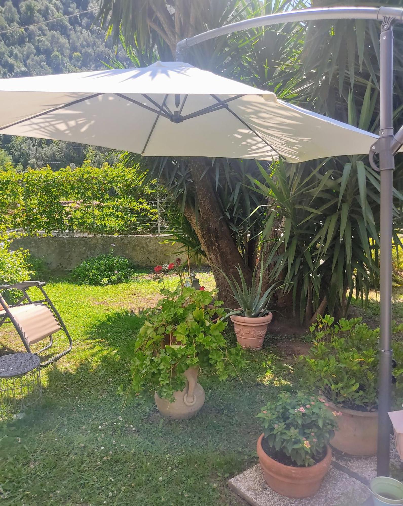 La Bouganville E Il Gelsomino Pietrasanta Ngoại thất bức ảnh