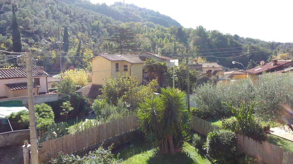 La Bouganville E Il Gelsomino Pietrasanta Ngoại thất bức ảnh